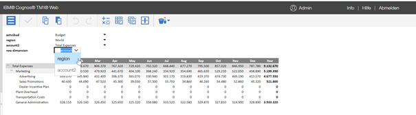 Intelligente Reports TM1 Planning Analytics